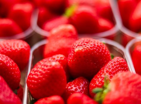 Strawberries packaged in box, sweet ripe perfect strawberry harvest, organic garden and agriculture concept