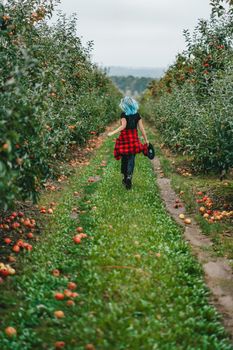 Pretty unusual woman with blue dyed hair walking alone between trees in apple garden at autumn season. Girl goes ahead away from camera. Organic, nature concept. High quality FullHD footage