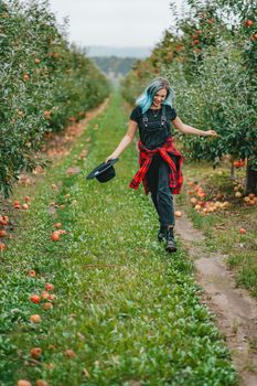 Pretty unusual woman with blue dyed hair walking alone between trees in apple garden at autumn season. Girl goes ahead away from camera. Organic, nature concept. High quality FullHD footage