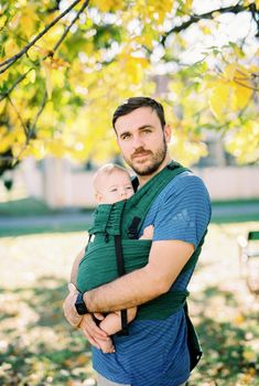 Dad hugging a baby in a sling standing under a tree in the park. High quality photo