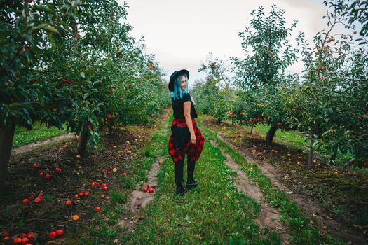 Pretty unusual woman with blue dyed hair walking alone between trees in apple garden at autumn season. Girl goes ahead away from camera. Organic, nature concept. High quality FullHD footage