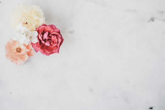 Wedding decor, floral background and beautiful home garden concept - Vintage roses on marble