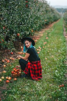 Blue haired woman picking up ripe red apple fruits in green garden. Organic lifestyle, agriculture, gardener occupation. High quality photo