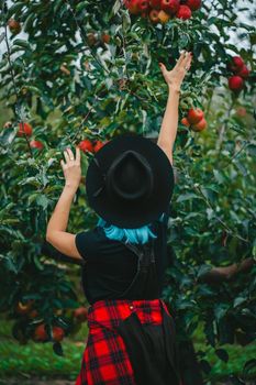 Blue haired woman picking up ripe red apple fruits from tree in green garden. Organic lifestyle, agriculture, gardener occupation. High quality photo