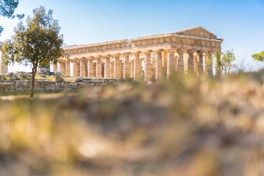 View of the Temple of Hera II at the Greco-Roman archaeological site of Paestum, Italy.