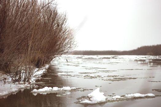 Frozen river with frost ice and snowy bushes on riverside in late autumn or first winter, authentic cold landscape in cloudy overcast weather with neutral soft beige earth tones