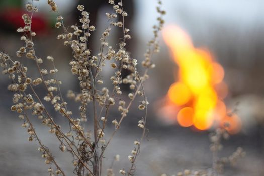 Dark moody gray background of dry grass in dusk with defocus flame of fire in late autumn or first winter, authentic extreme camping mood in cold cloudy overcast weather, front focus