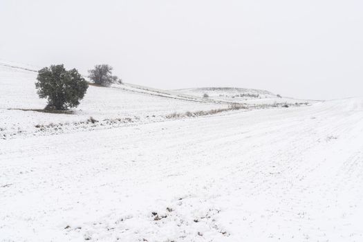 Minimalist snowy landscape. Madrid. Spain.