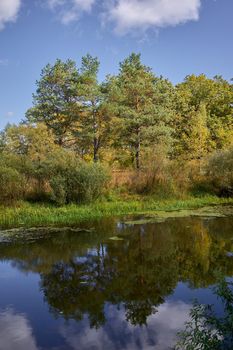 Beautiful view of the river on a bright sunny autumn day. Sluch .Belarus