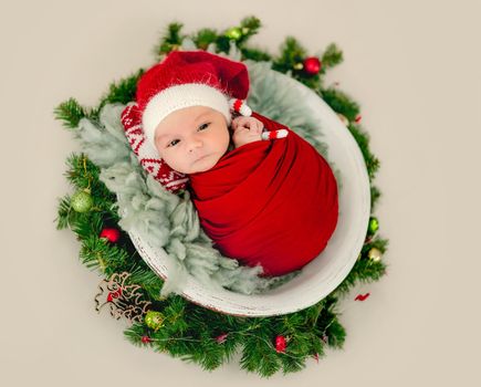 Newborn baby boy swaddled in fabric and wearing knitted Santa hat lying in basin decorated with Christmas tree. Cute infant child kid New Year studio portrait
