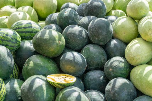 a bunch of striped watermelons close up as a background. High quality photo