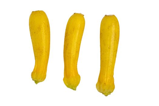 yellow baby zucchini isolated on white studio background