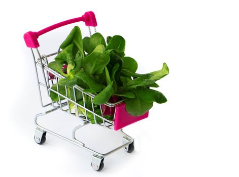 fresh green vegetables in grocery basket. Mini shopping cart filled with, microgreens and mashed. Mash salad. Diet concept. Healthy food. Vegan food. concept shopping in the supermarket. copy space