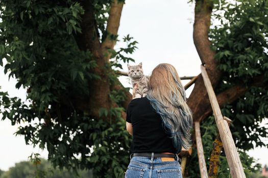 A girl with blue hair stands with her back and holds a three month old Scottish Straight kitten outside in the summer near a tree. The cat looks at the camera.. High quality photo