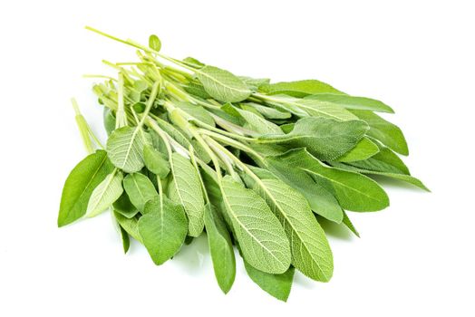 Fresh Sage herb isolated on white background Macro photo.