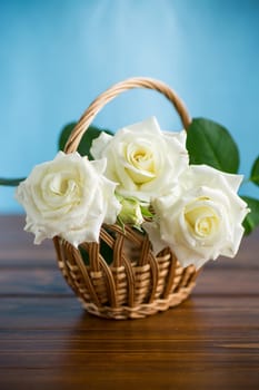 bouquet of beautiful white roses on a wooden table