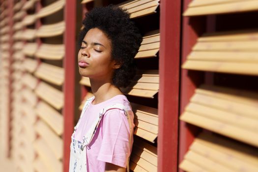 Tranquil African American female with Afro hairstyle standing near wooden wall with closed eyes while enjoying sunlight on summer day