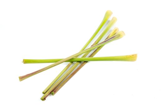 Isolated lemongrass melissa. Fresh Lemongrass on white background.