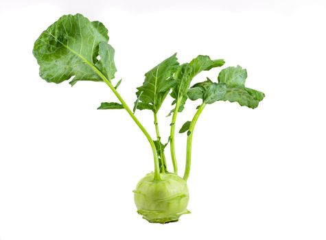 Fresh kohlrabi with green leaves on isolated white backround