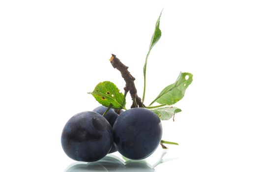 Ripe whole round plums with leaves isolated on white background.