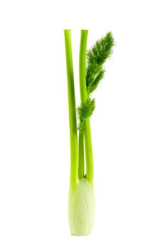 Fresh celery stalk isolated on white background.