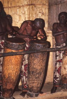 Zulu tribal dance show, Victoria Falls, Zimbabwe, Africa
