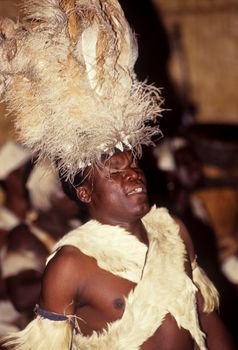 Zulu tribal dance show, Victoria Falls, Zimbabwe, Africa