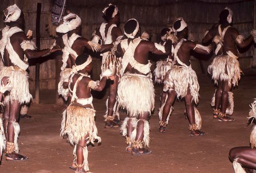 Zulu tribal dance show, Victoria Falls, Zimbabwe, Africa