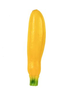 Summer squash or yellow squash on white background