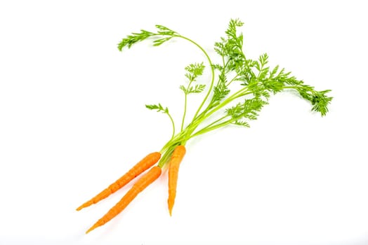 Bunch of fresh baby carrots isolated on white background