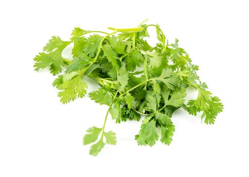 Fresh green vegan vitamin parsley isolated on white background