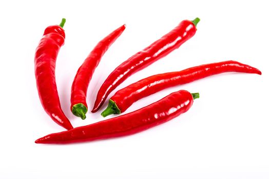 Hot red chili pepper on white background