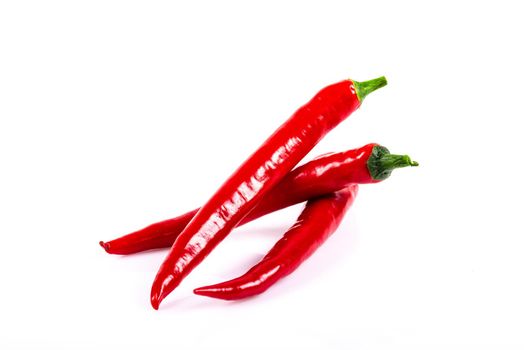 Hot red chili pepper on white background