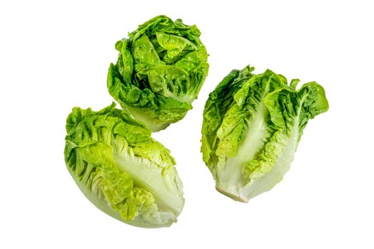 Fresh baby cos lettuce on white background