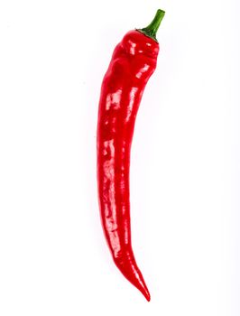 Hot red chili pepper on white background