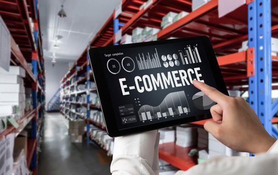 E-commerce data software provide modish dashboard for sale analysis to the online retail business