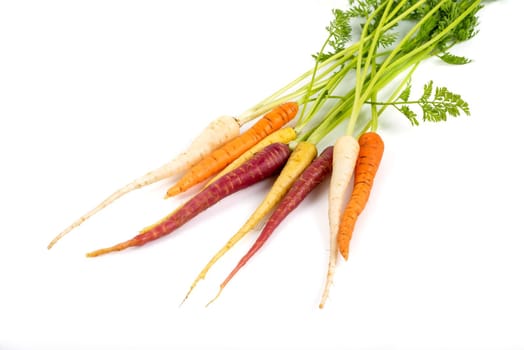 Bunch of fresh baby carrots isolated on white background