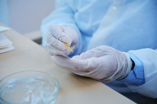 Selective focus on the gloved hands of chemist scientist, clinical researcher using litmus paper, conduct a PH test in a medical research laboratory. Measurement of acidity, alkalinity of chemicals
