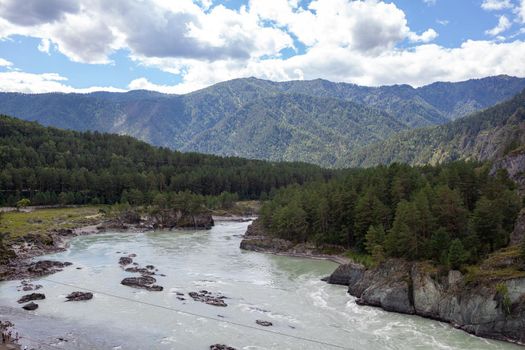 A fast-flowing wide and full-flowing mountain river. Large rocks stick out of the water. Big mountain river Katun, turquoise color, in the Altai Mountains, Altai Republic.