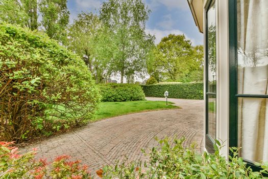 View of street near building with beauty of vegetation outside