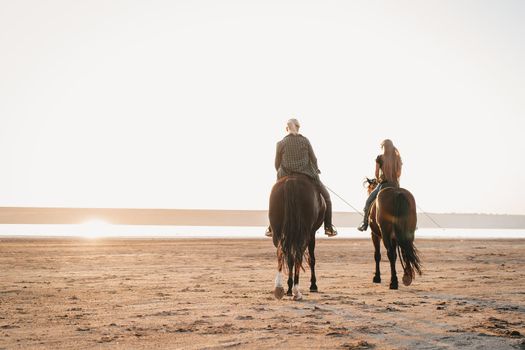 woman riding horses on open coast. Stallion training. Jogging with horse at sunset light. Nature, love, beauty concept.