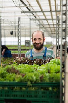 Portrait of smiling man working in greenhouse pushing rack of crates with locally grown organic green food from sustainable sources. Caucasian worker preparing vegetables delivery for local business.