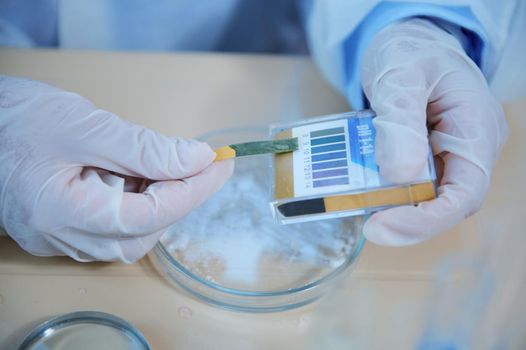 Close-up. Details: hands of a laboratory assistant in protective medical gloves, conducting a PH test and analyzing the acidity or alkalinity of a chemical tested in a science research laboratory