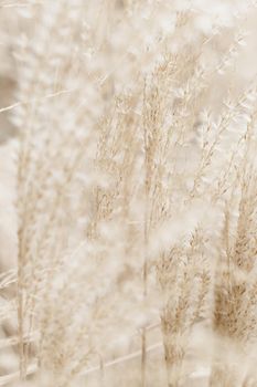 Beauty in nature, balanced lifestyle, environmental concept - Rustic autumn field