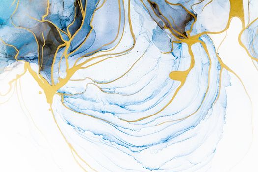 Marble ink abstract art from meticulous original painting abstract background . Painting was painted on high quality paper texture to create smooth marble background pattern of ombre alcohol ink .