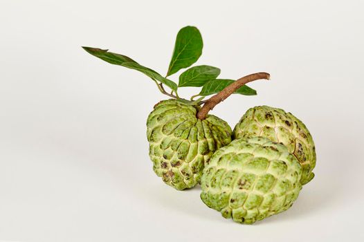 Ripe Sugar apple fruits (annona squamosa) on a white background