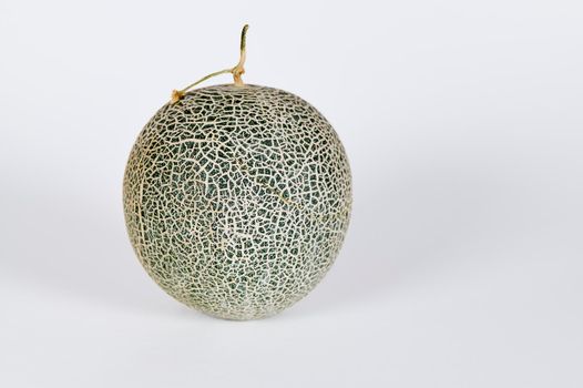 Single Cantaloupe melon on a white background