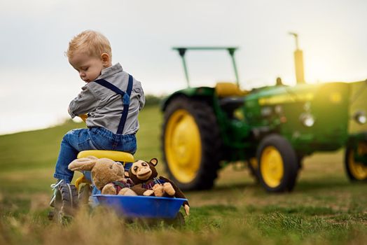 Learning about hard work the fun way. an adorable little boy carting stuffed animals in a toy truck around a farm