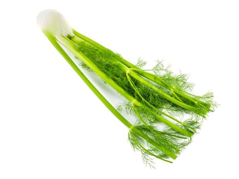 Isolated Stalk Celery. Fresh Stalk Celery on white background.