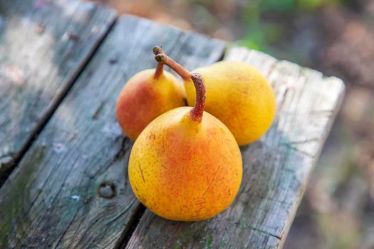 View from above of fresh pears are on the table. Blurred background